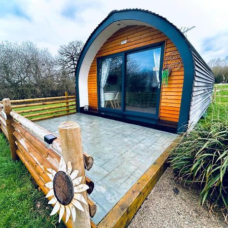 Beech Pod Cabin In Beautiful Surroundings Wrexham Dış mekan fotoğraf