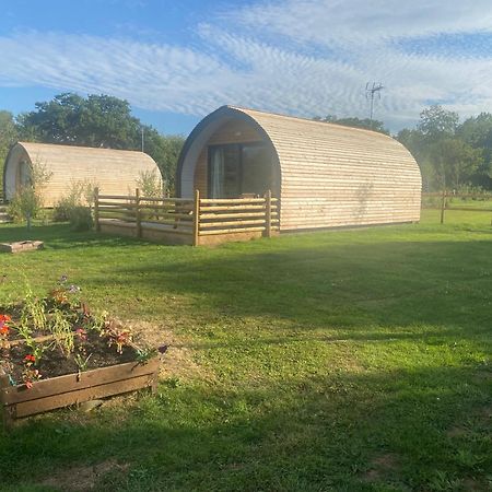 Beech Pod Cabin In Beautiful Surroundings Wrexham Dış mekan fotoğraf